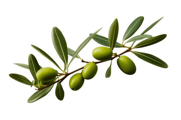 Olive Branch with Leaves and Green Olives on Transparent Background. Generative AI