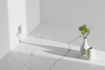 Simple monotone background with vases, tree
shadows and natural light. 3d Render.