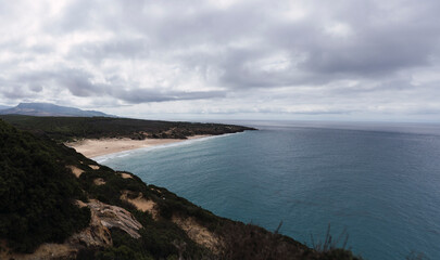 Vista de una cala rodeada de bosque de pinos