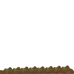 Obraz premium Germination of Seeds in the Field