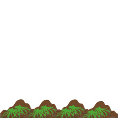 Obraz premium Germination of Seeds in the Field