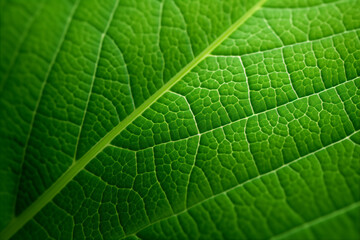 close up macro of the green leaf. Generative AI
