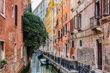 Venice, Italy a narrow canal with green tree.