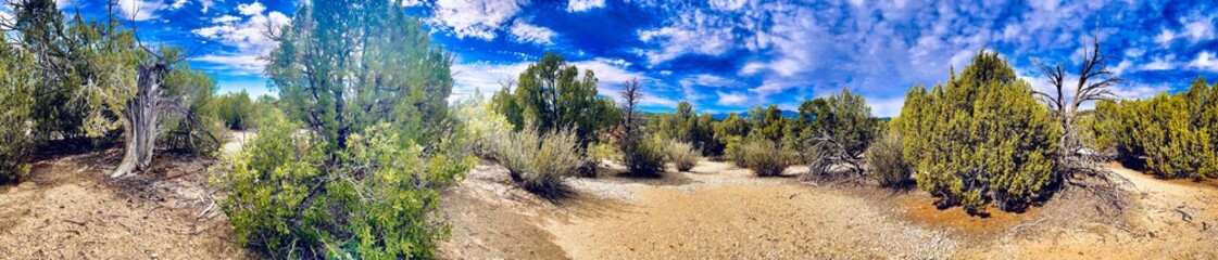 Into the great wide open 