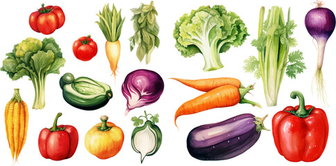 Set of watercolor mixed vegetables Easy to draw, white background