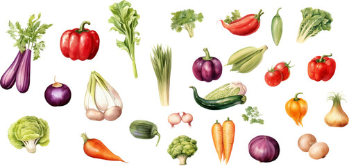 Set of watercolor mixed vegetables Easy to draw, white background