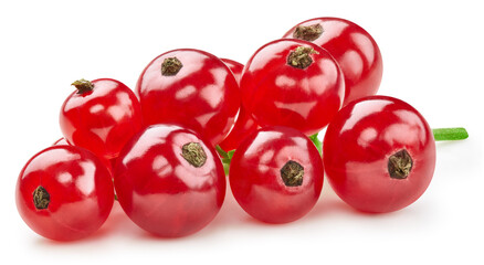Red currant isolated