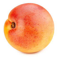 Apricot fruit isolated