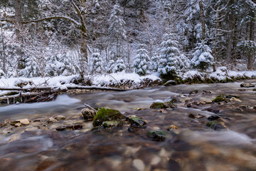 Fototapeta na wymiar Ruisseau d'hiver
