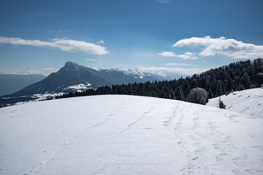 Vercors 