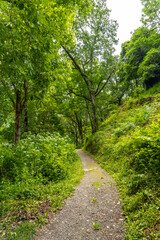 Mountain trail in the Borce commune of the French Pyrenees