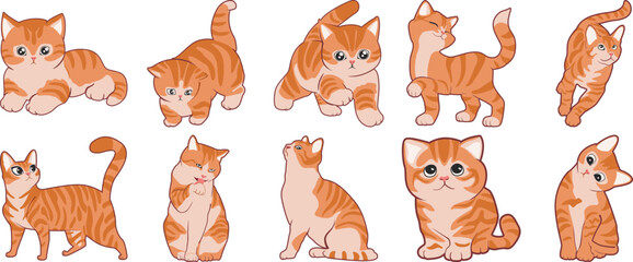Cute Kitten Illustration