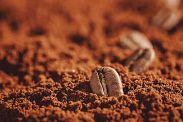 Macro photo fresh roasting coffee beans on ground brown, warm toning