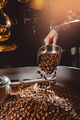 Scoop with fresh roast coffee beans move roaster machines. Photo for advertising coffeeshop in stories. Warm sun light