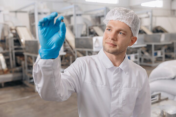 Worker man checks quality cedar pine nuts on conveyor belt. Concept modern health food industry,...