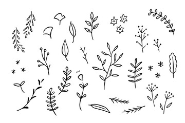 シンプルでかわいい植物イラスト　北欧風　線画　オーガニック © tobutori