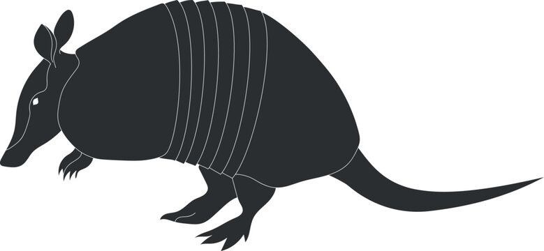 recommend clip art: Armadillo silhouette isolated on white background. Vector illustration