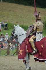 Les m&eacute;di&eacute;vales de Montaner - France