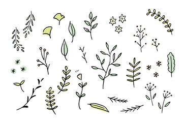 シンプルでかわいい植物イラスト　北欧風　自然　オーガニック