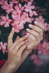 Women's hands with beautiful nail design. Women's hands hold a pink autumn flower. Beautiful hands with manicure.