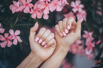 Women's hands with beautiful nail design. Women's hands hold a pink autumn flower. Beautiful hands with manicure. - 624316195