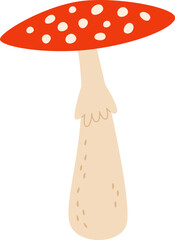 Fly Agaric Mushroom