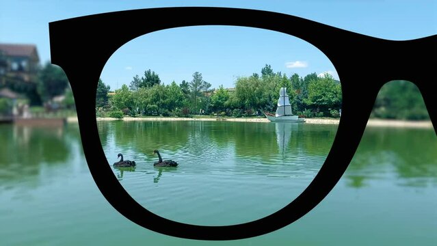 optical eye glasses ophthalmology vision 