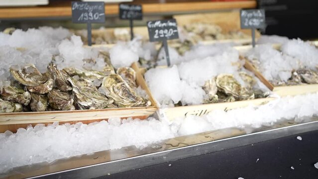 Oysters on a market display in containers