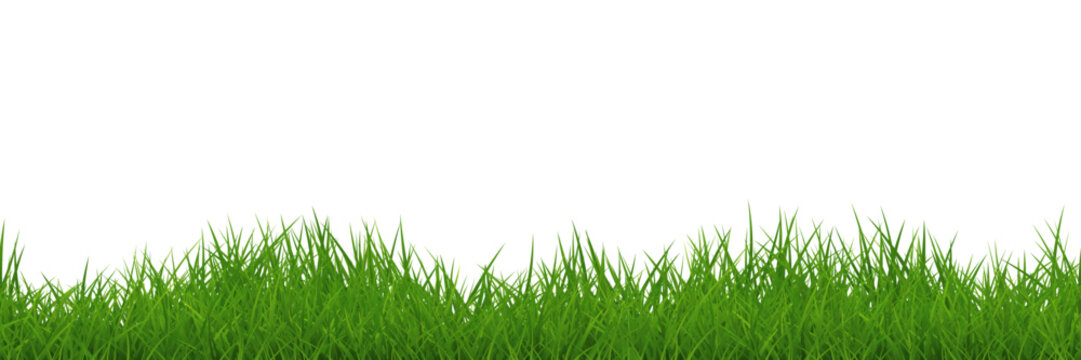 Green uneven grass wide seamless border isolated. Vector