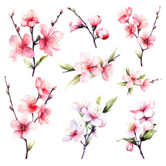 Fototapeta na wymiar vector set of cherry blossom flowers, pink sakura flower and leaves
