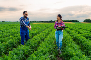 In a carrot field, a Chinese woman and a Caucasian man discuss crops under the setting sun, fostering agricultural collaboration.