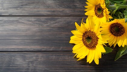 sunflowers on a table space for text, sunflower, flower, yellow, plant, isolated