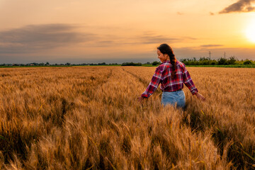 A young Chinese farmer walks through her wheat field in the late sunset, wearing a smile of...