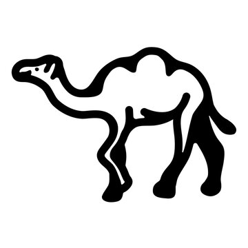 camel