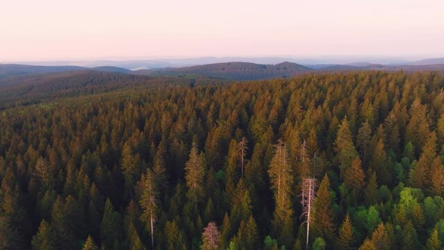 Aerial flight over the Thuringian Forest with warm light in the evening
