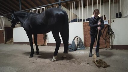 Little girl cleans horse poop in stable with broom and scoop