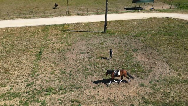 Aerial view girl schooling a Lusitano horse, in sunny Portugal - static, drone shot