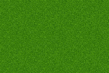 Foto op Plexiglas Groen Lawn grass big texture seamless pattern. Vector