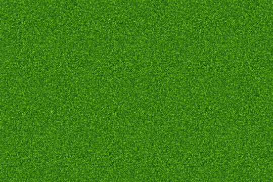 Lawn grass big texture seamless pattern. Vector