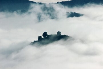 above the clouds mountain with trees