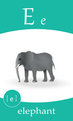 English alphabet flash card. Letter E study - elephant.  Kids ABC cards. Phonics flashcards collection. Cartoon illustration vector.