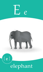 Obraz premium English alphabet flash card. Letter E study - elephant. Kids ABC cards. Phonics flashcards collection. Cartoon illustration vector.