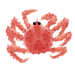 King crab hand painting isolated