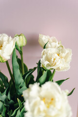 Mockup of beautiful white tulips on a pink background.