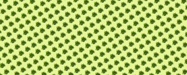 packaging paper sample, craft paper, packaging, collage, fresh parsley, dill and basil, top view, isolated on light green background