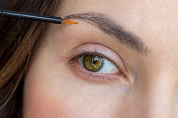 A woman applies eyebrow growth product, close-up