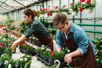 Woman gardener and young man employee with down syndrome working in greenhouse