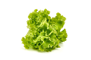 Lettuce Salad leaves, isolated on white background.