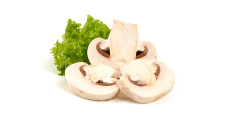 Champignons, close-up, isolated on white background.