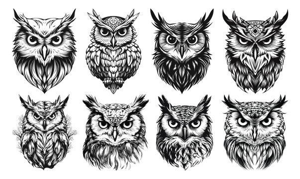 Various hand drawn decorative owls set